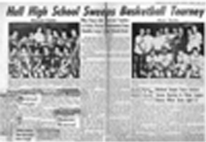 Newspaper Article